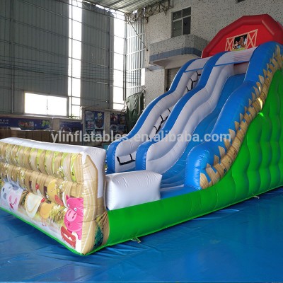 Colorful Clown Theme Slip Slide for Sale, Commercial Inflatable Slides for Entertainment